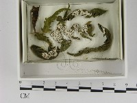 登錄號:F0021627藏品圖，第1張
