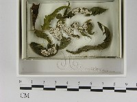 登錄號:F0021627藏品圖，第3張
