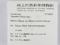 登錄號:F0021629藏品圖，第2張