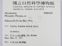 登錄號:F0021630藏品圖，第2張