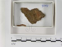 登錄號:F0021631藏品圖，第1張
