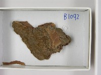 登錄號:F0021631藏品圖，第3張