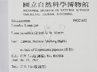 登錄號:F0021632藏品圖，第2張