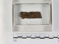 登錄號:F0021632藏品圖，第1張