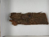 登錄號:F0021632藏品圖，第3張