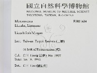 登錄號:F0021634藏品圖，第2張