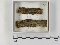 登錄號:F0021634藏品圖，第1張