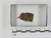 登錄號:F0021635藏品圖，第1張