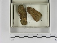 登錄號:F0021637藏品圖，第1張