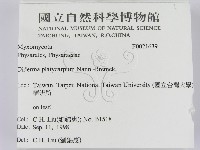 登錄號:F0021639藏品圖，第2張