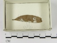 登錄號:F0021640藏品圖，第1張