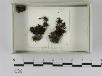 登錄號:F0021641藏品圖，第1張