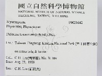 登錄號:F0021642藏品圖，第2張