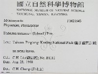 登錄號:F0021643藏品圖，第2張