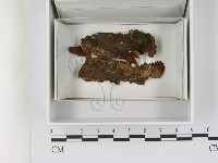 登錄號:F0021645藏品圖，第1張