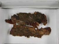 登錄號:F0021645藏品圖，第3張