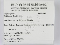 登錄號:F0021647藏品圖，第2張