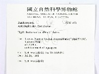 冇骨消絲齒菌藏品圖，第2張