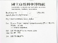 冇骨消絲齒菌藏品圖，第2張