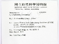冇骨消絲齒菌藏品圖，第2張