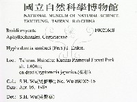 冇骨消絲齒菌藏品圖，第2張