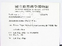 冇骨消絲齒菌藏品圖，第2張