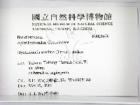 冇骨消絲齒菌藏品圖，第2張
