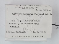登錄號:F0021680藏品圖，第2張