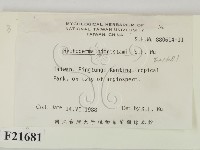 館號:F0021681藏品圖，第2張
