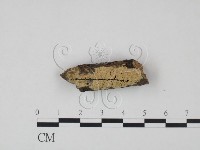 登錄號:F0021682藏品圖，第1張