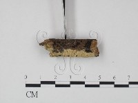 登錄號:F0021682藏品圖，第3張