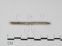 登錄號:F0021683藏品圖，第1張