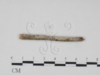 登錄號:F0021683藏品圖，第3張