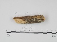 登錄號:F0021686藏品圖，第1張