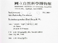 登錄號:F0021687藏品圖，第2張
