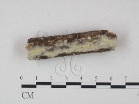 登錄號:F0021688藏品圖，第1張