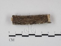 登錄號:F0021688藏品圖，第3張