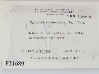 登錄號:F0021689藏品圖，第2張