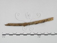 登錄號:F0021689藏品圖，第3張