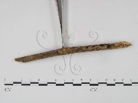 登錄號:F0021689藏品圖，第4張