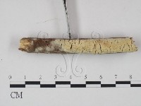 登錄號:F0021690藏品圖，第1張