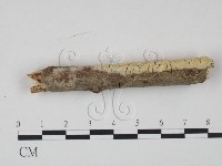 登錄號:F0021690藏品圖，第3張