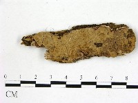登錄號:F0021691藏品圖，第1張