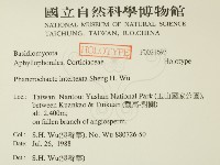 登錄號:F0021693藏品圖，第2張