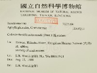 登錄號:F0021694藏品圖，第2張