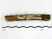 登錄號:F0021694藏品圖，第1張