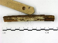 登錄號:F0021694藏品圖，第3張