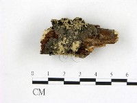 登錄號:F0021695藏品圖，第1張