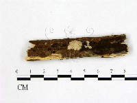 登錄號:F0021696藏品圖，第1張