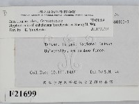 登錄號:F0021699藏品圖，第2張